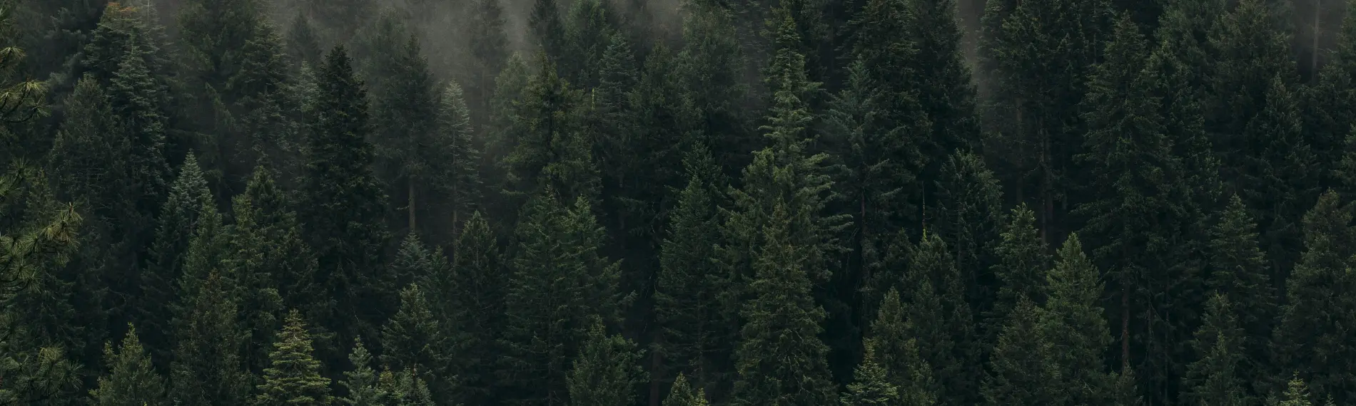 dan-otis-oyfht4x5isg-unsplash